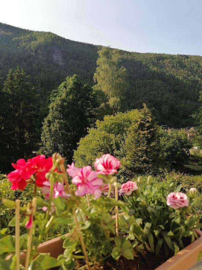 MontherméChez Many, Par Fred Et Henri住宿加早餐旅馆 外观 照片