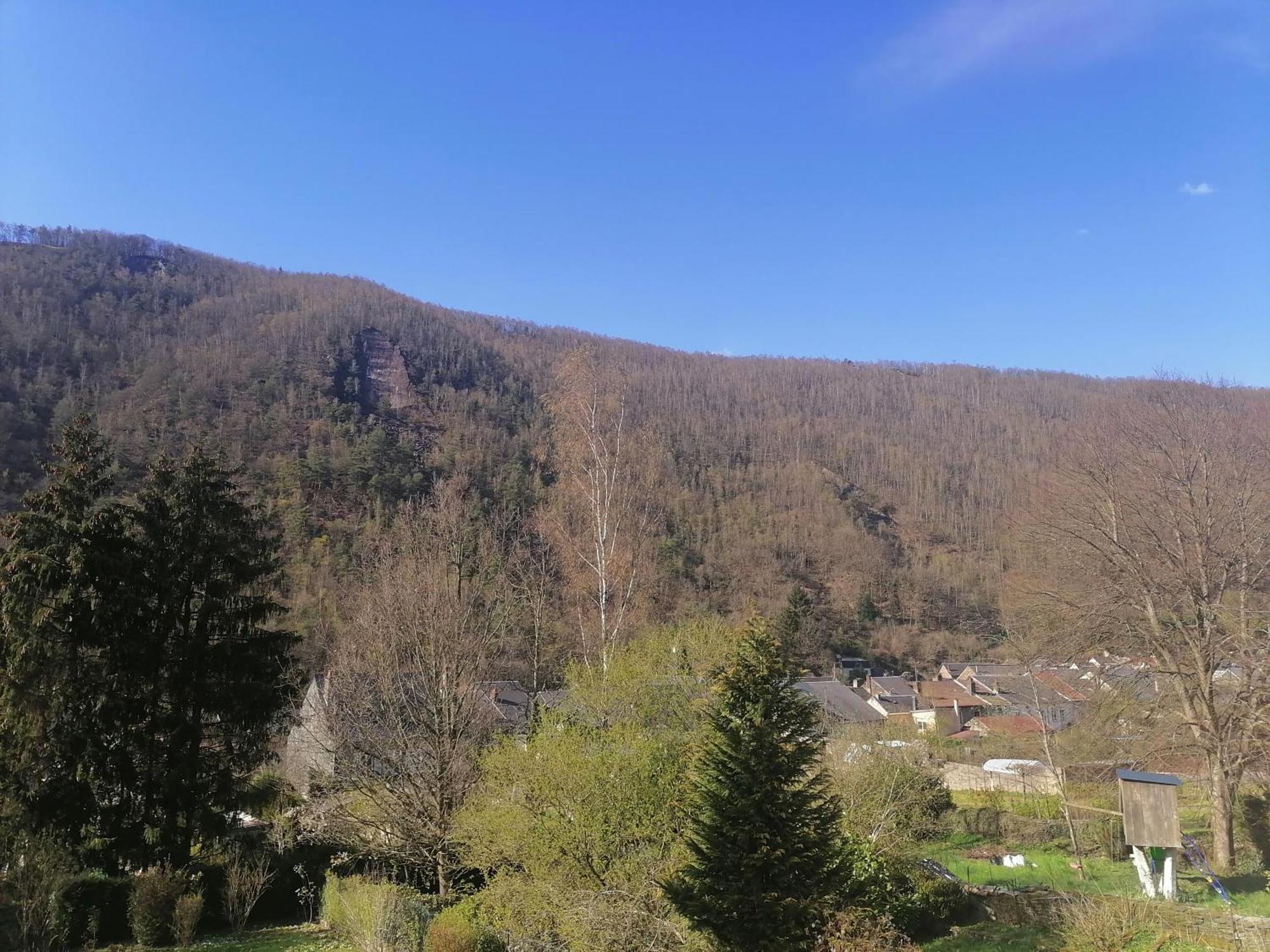 MontherméChez Many, Par Fred Et Henri住宿加早餐旅馆 外观 照片